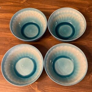 Baum shibori 🌹dishwasher microwave safe China soup salad bowl bundle dinnerware